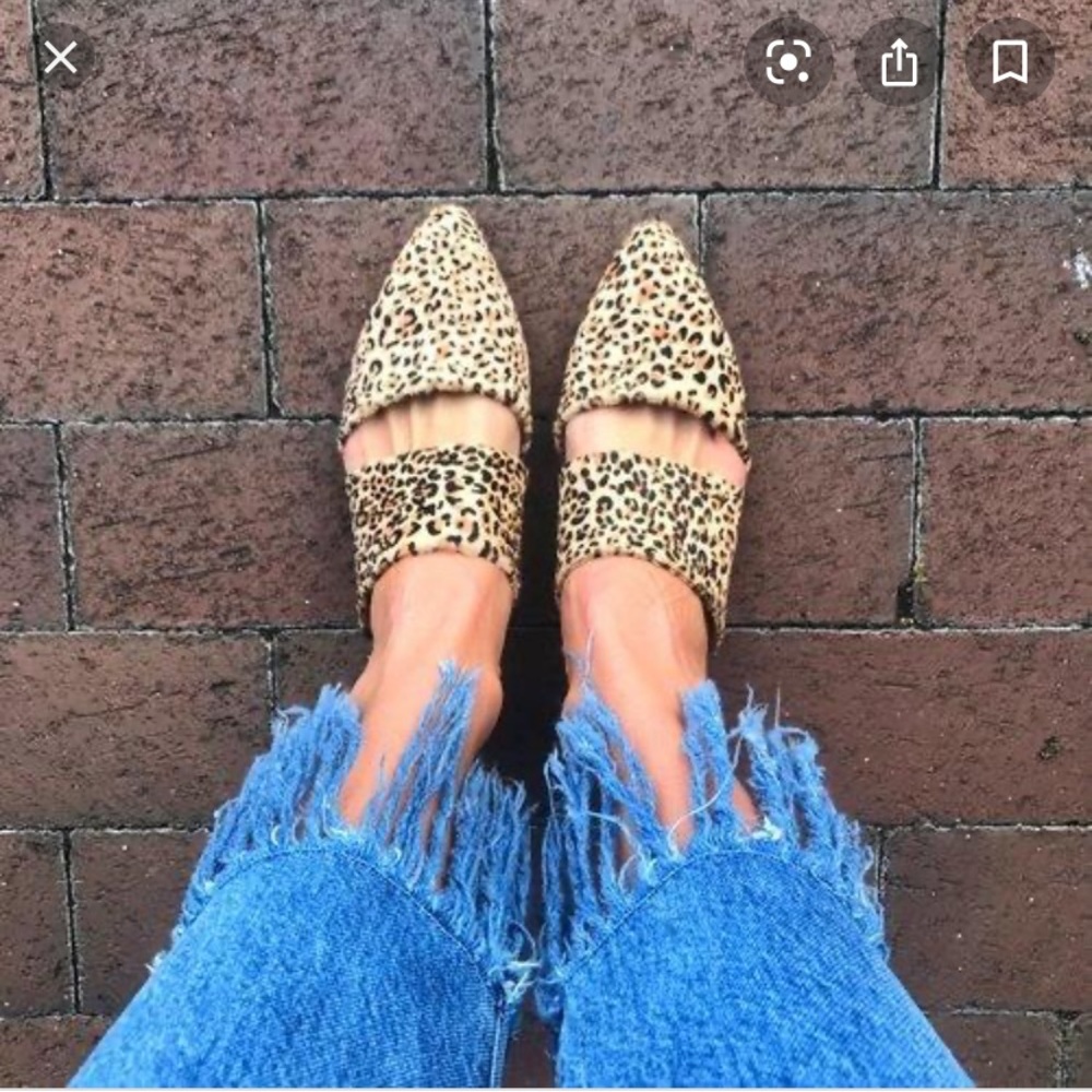 Matisse Berlin Leopard print mule - new in box